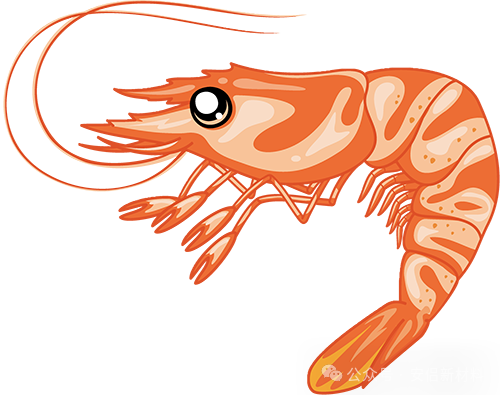 New ride on toy of kids motorcycle